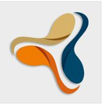 VLSM Formação e Capacitação (Brasil)