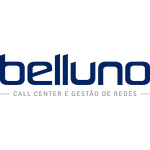 Belluno Tecnologia (Brazil)