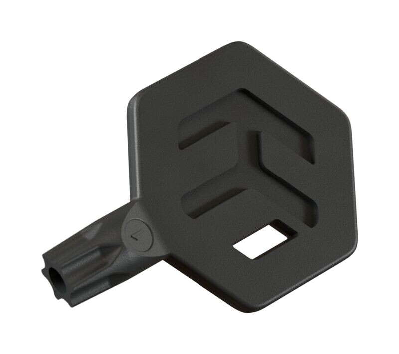 Image of MT Torx (T30 PIN)